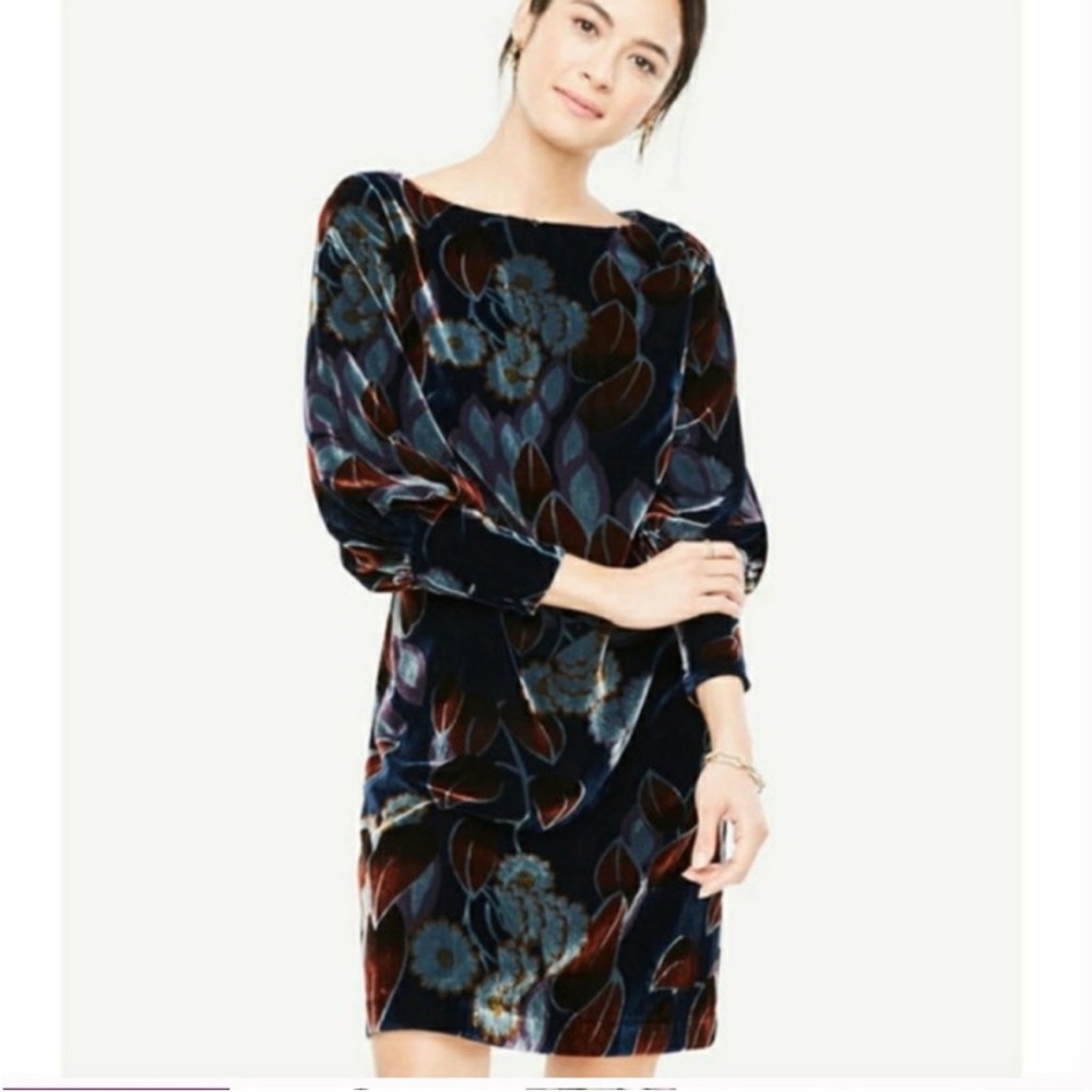 Ann Taylor Dark Floral Long Sleeve Dress